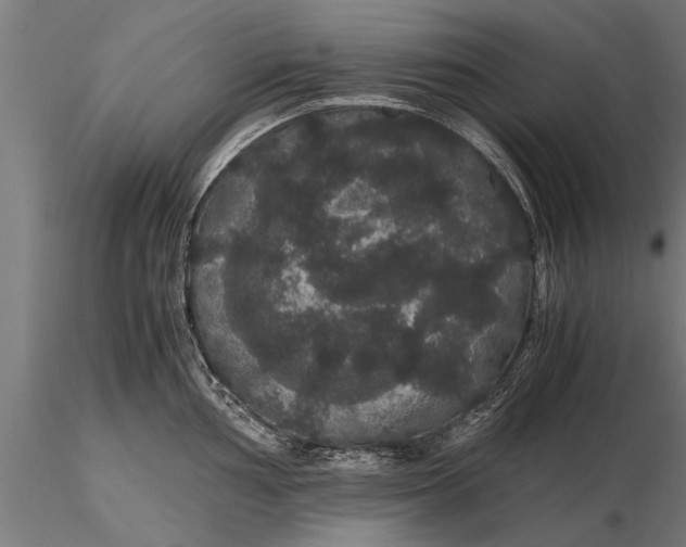 X0000116121002200912141041