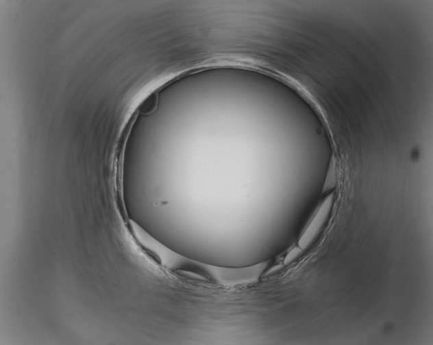 X0000116121003200912141041