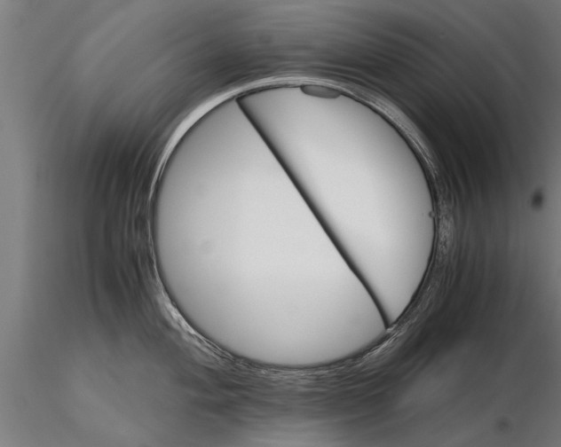 X0000116121004200912141041