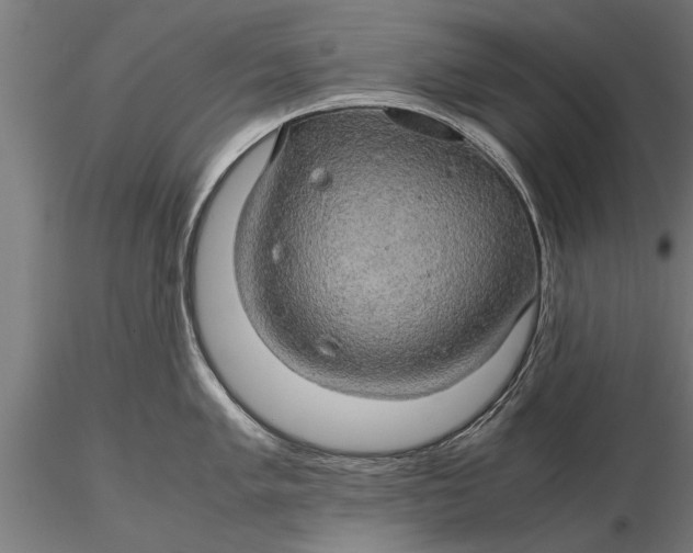 X0000116121005200912141041