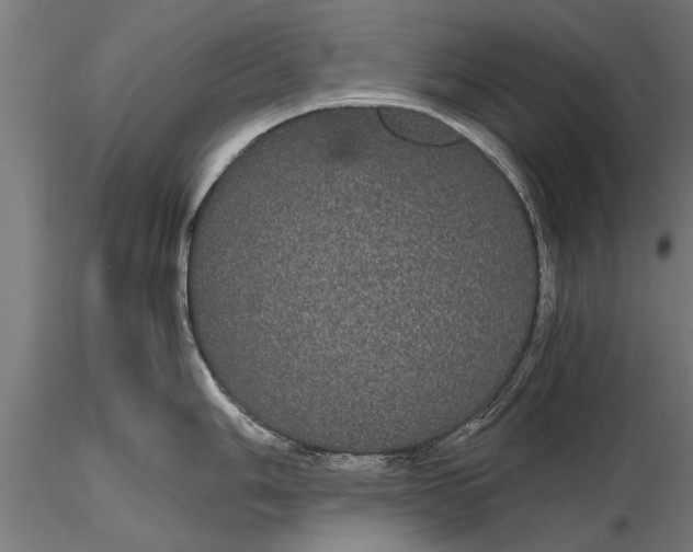 X0000116121006200912141041