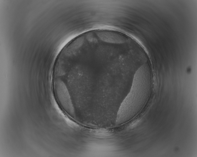 X0000116121007200912141041