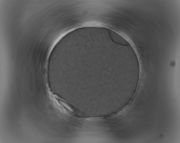 X0000116121008200912141041