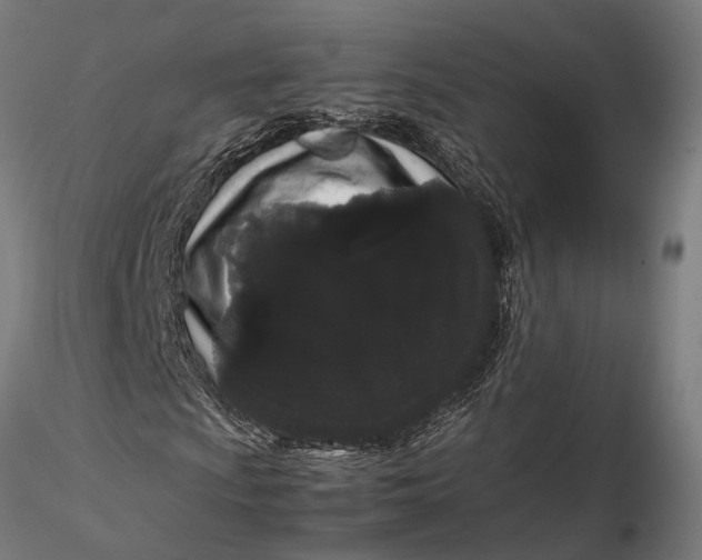 X0000116121009200912141040