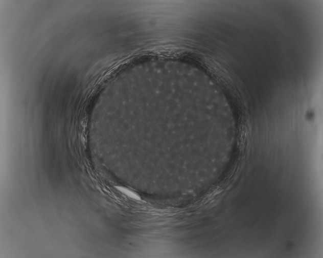 X0000116121010200912141040