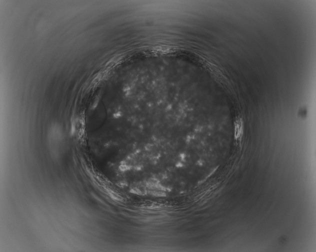 X0000116121011200912141040