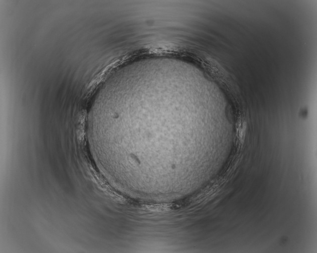 X0000116121012200912141040