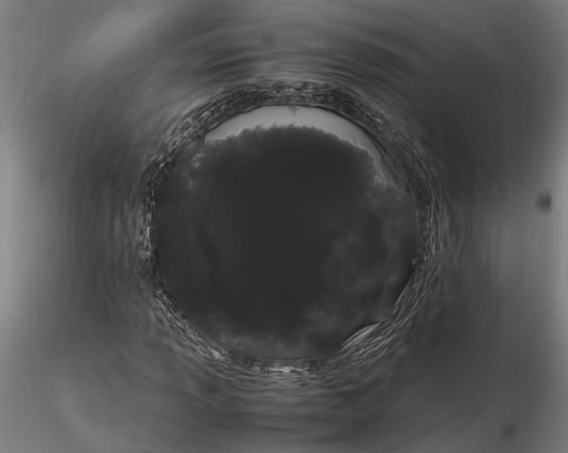 X0000116121013200912141040