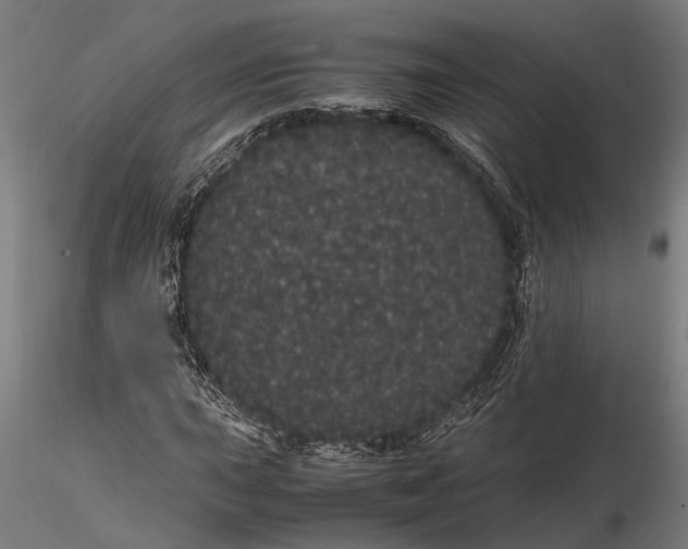 X0000116121015200912141040