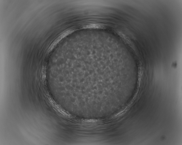 X0000116121017200912141040