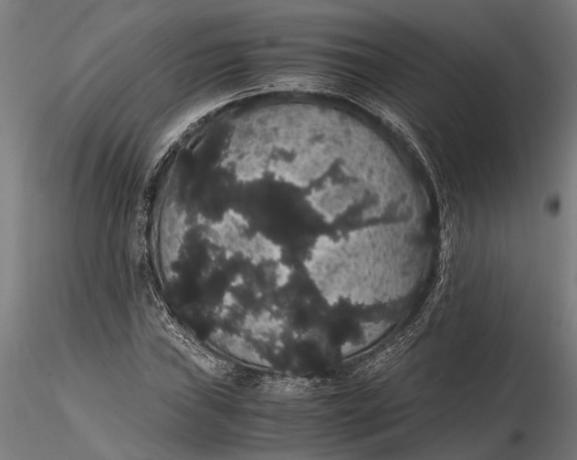 X0000116121019200912141040