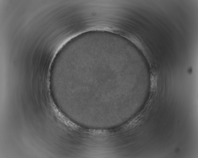 X0000116121020200912141040