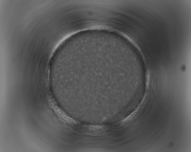 X0000116121021200912141040