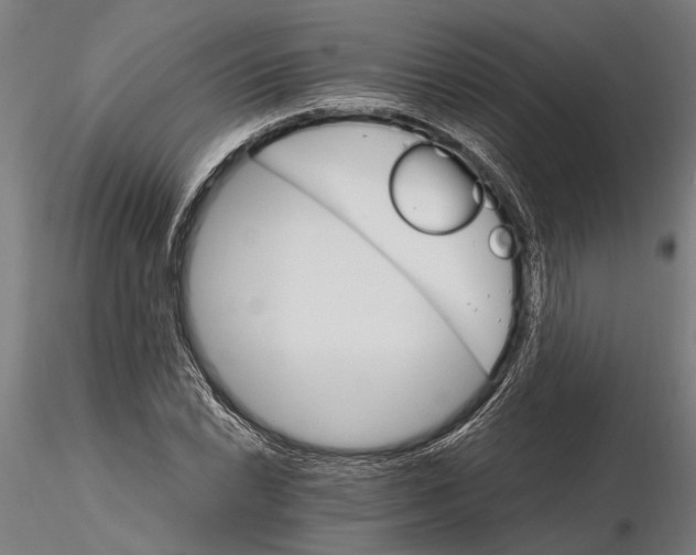 X0000116121022200912141040