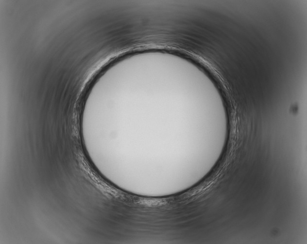 X0000116121023200912141040