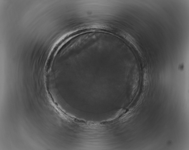 X0000116121024200912141040