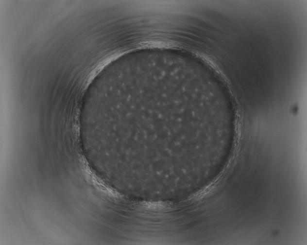 X0000116121025200912141040