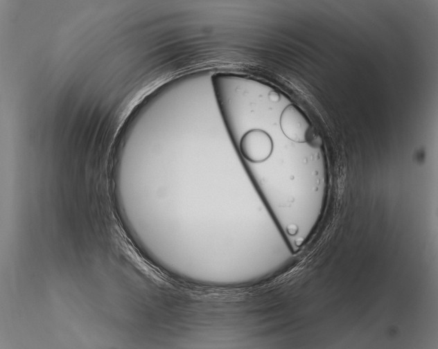 X0000116121026200912141040