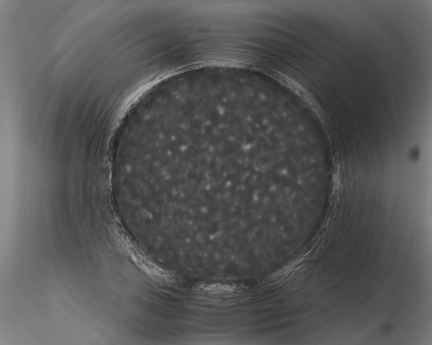 X0000116121027200912141040