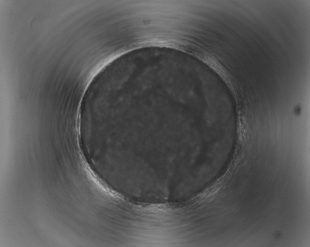 X0000116121028200912141040