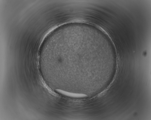 X0000116121029200912141040