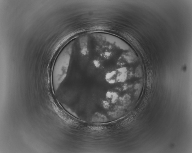 X0000116121031200912141040