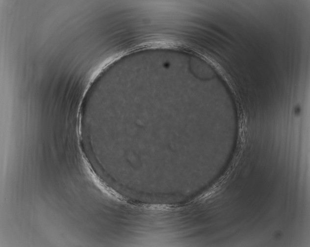 X0000116121034200912141040