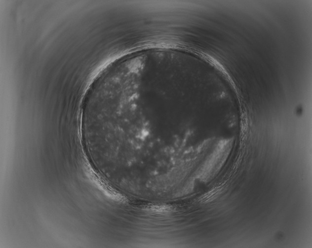 X0000116121035200912141040