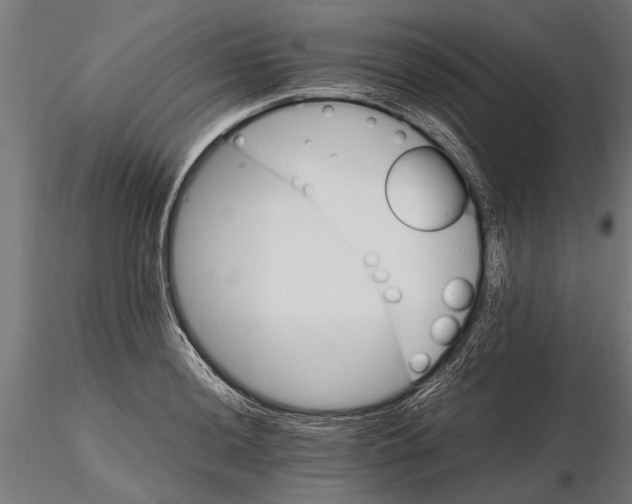 X0000116121036200912141040