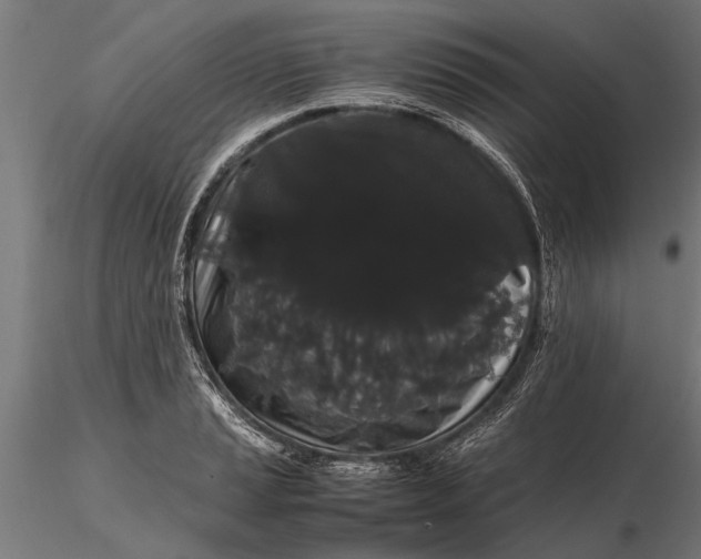 X0000116121037200912141040