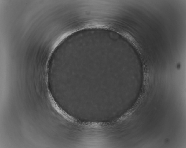 X0000116121038200912141041