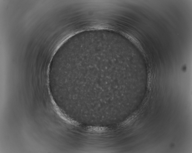 X0000116121039200912141041