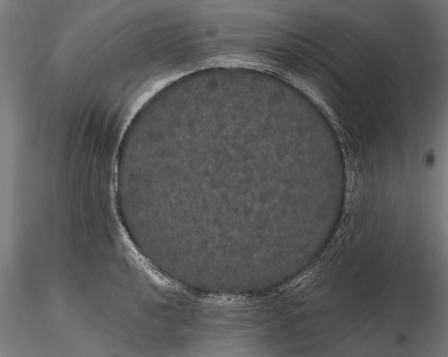 X0000116121040200912141041