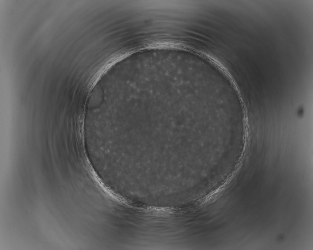 X0000116121041200912141041