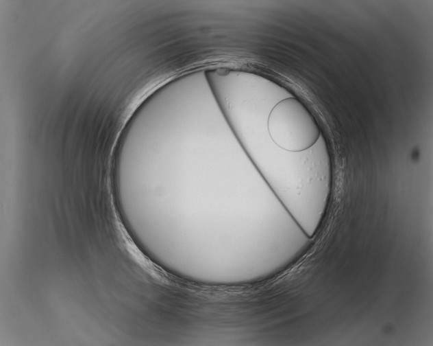 X0000116121042200912141041