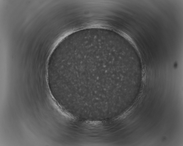 X0000116121043200912141041