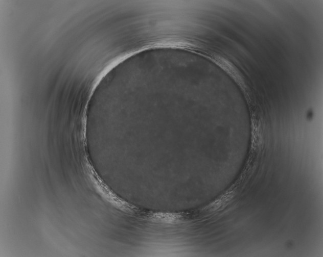 X0000116121044200912141041