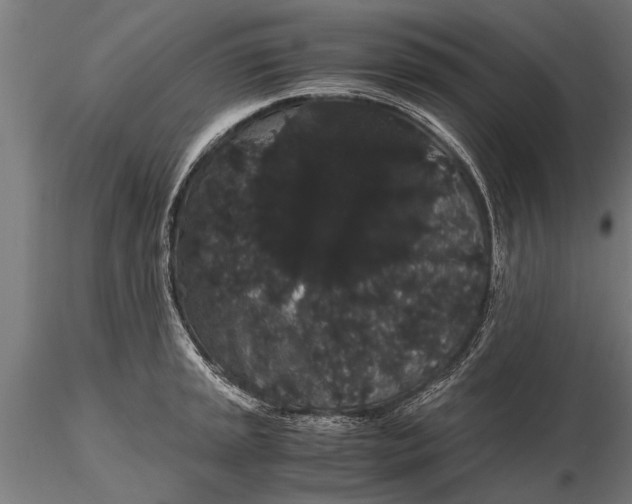 X0000116121045200912141041