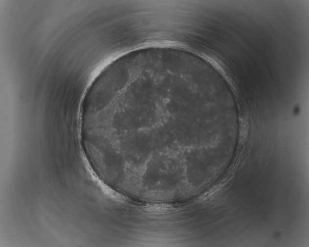 X0000116121046200912141041