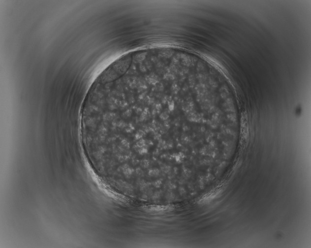 X0000116121047200912141041