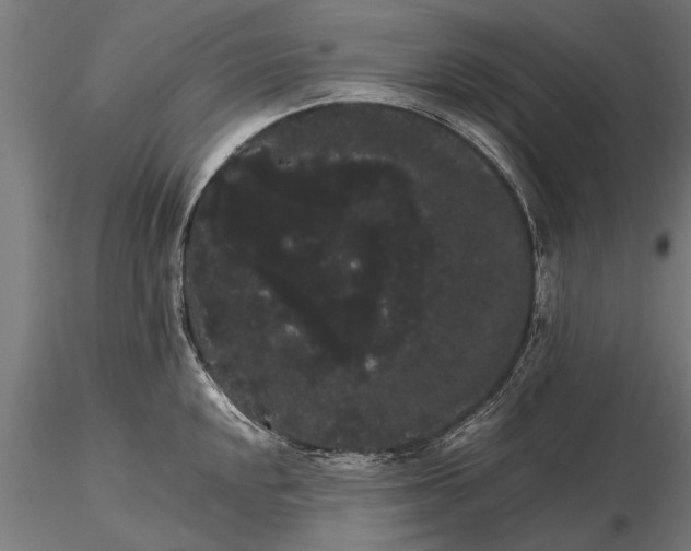 X0000116121048200912141041