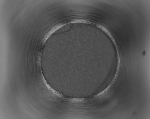 X0000116121049200912141041