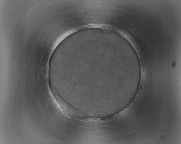 X0000116121050200912141041