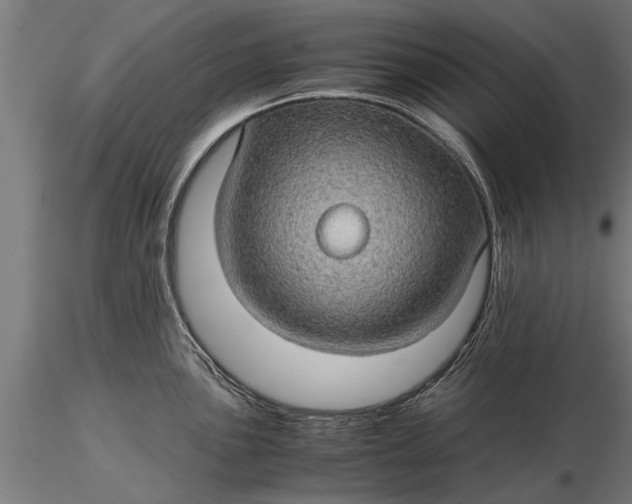 X0000116121051200912141041