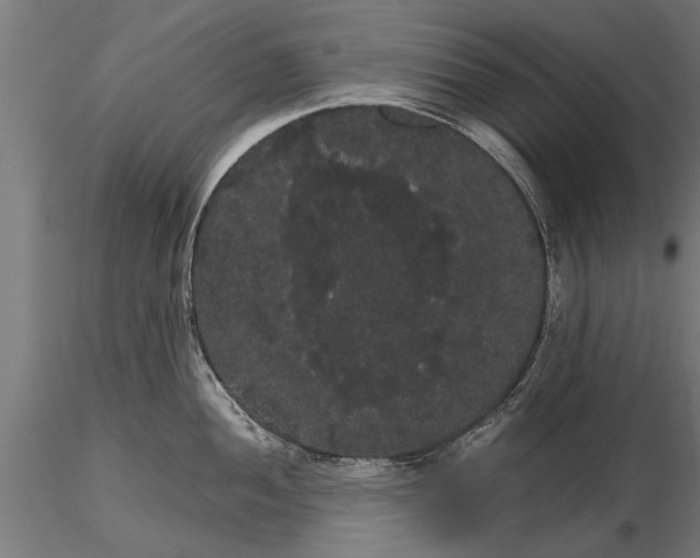 X0000116121052200912141041