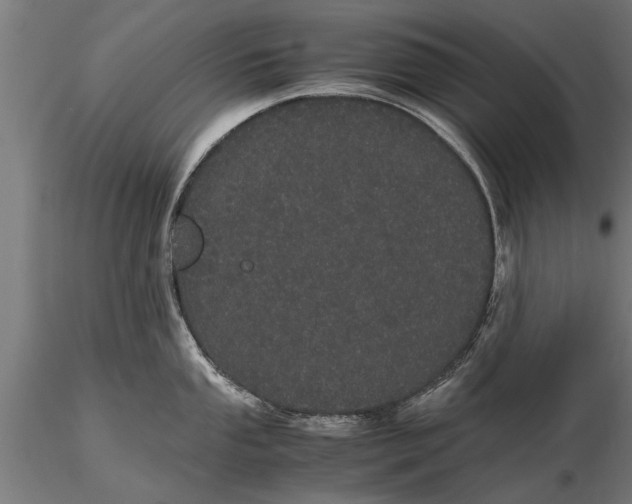 X0000116121053200912141041