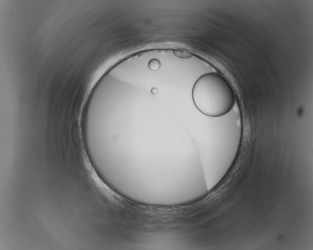 X0000116121054200912141041