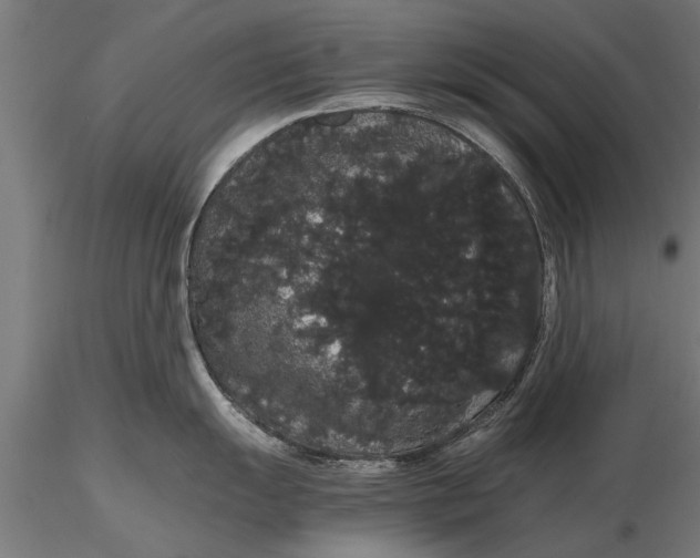 X0000116121055200912141041