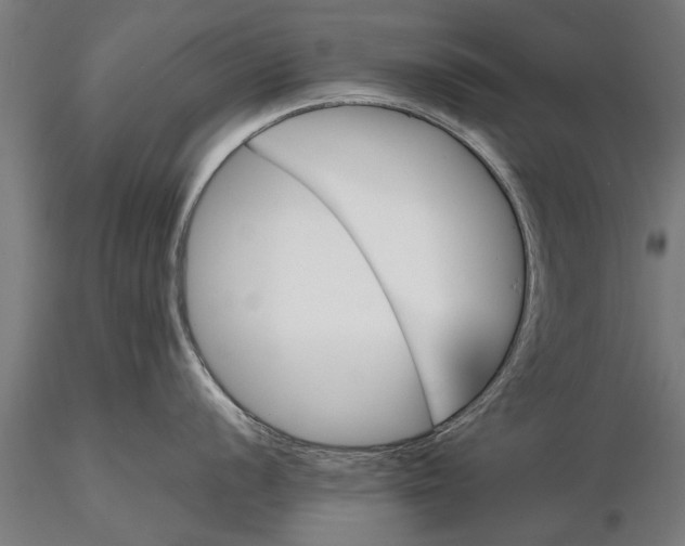 X0000116121056200912141041