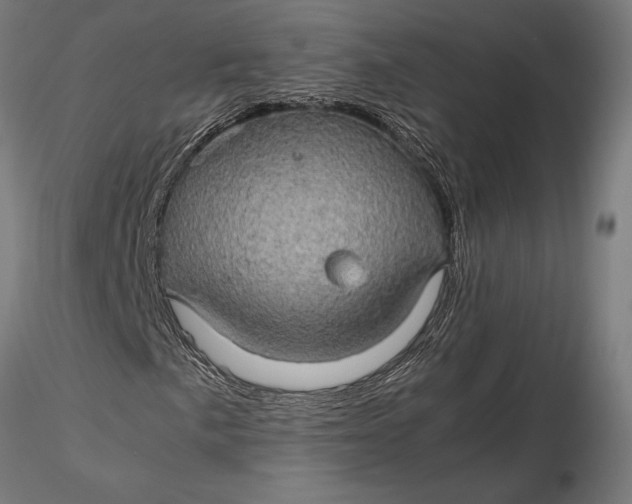 X0000116121057200912141040